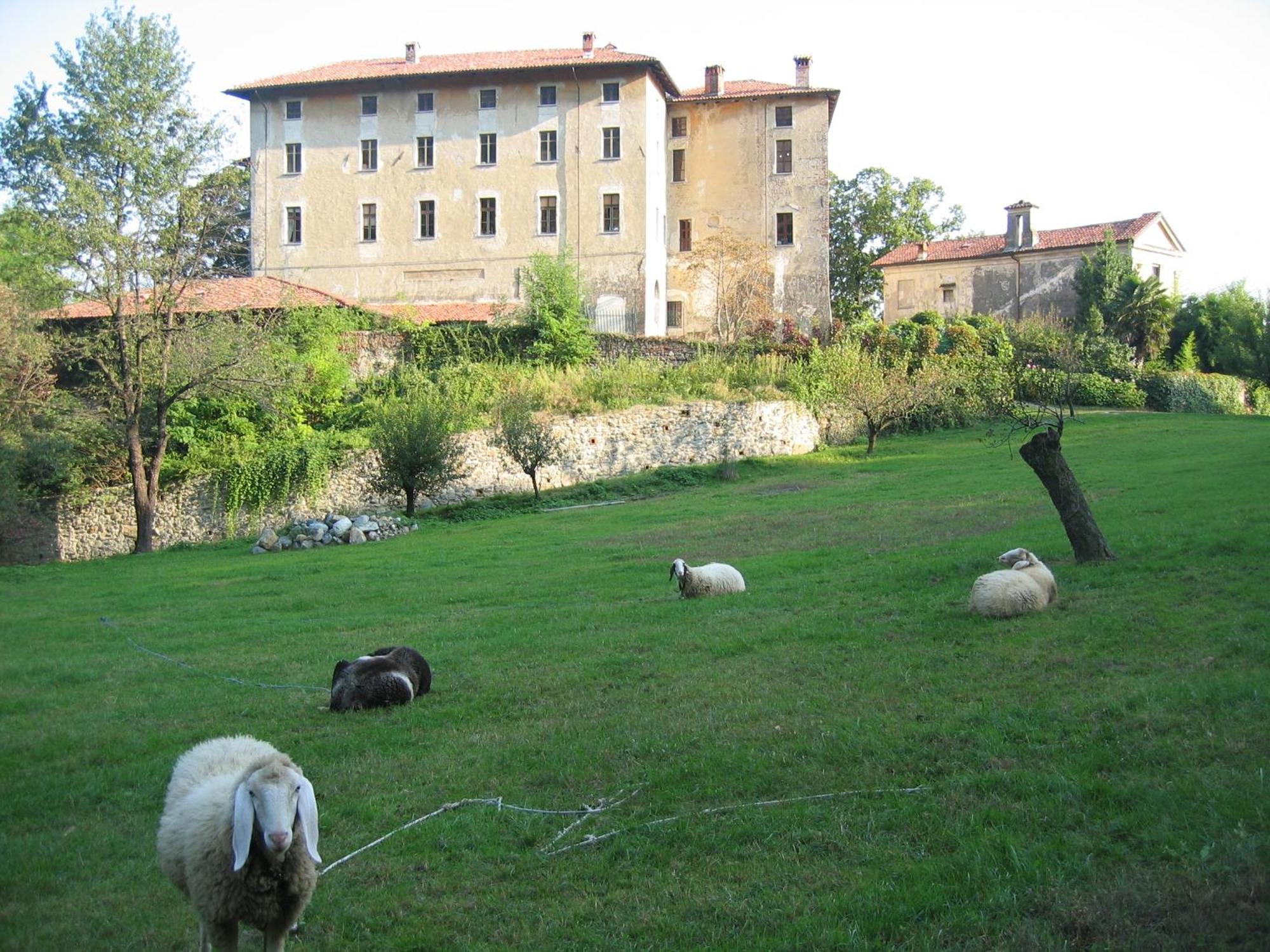 B&B Castello Di Camerletto Caselette Bagian luar foto